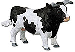 Holstein Bull 2325.jpg